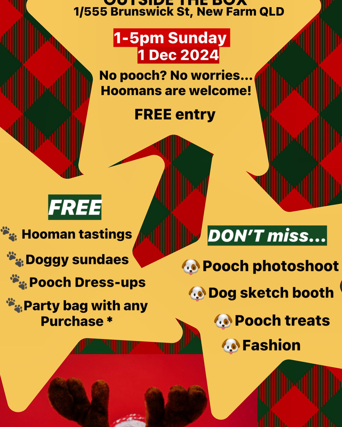 Doggy Christmas Party 1pm to 5pm on 1 December 2024