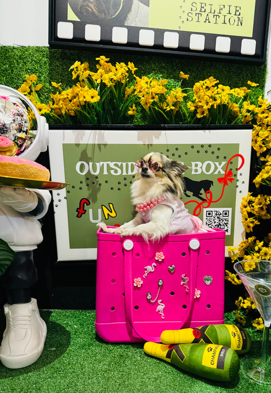 FREE Pooch Dress-Up and Selfie Corner!