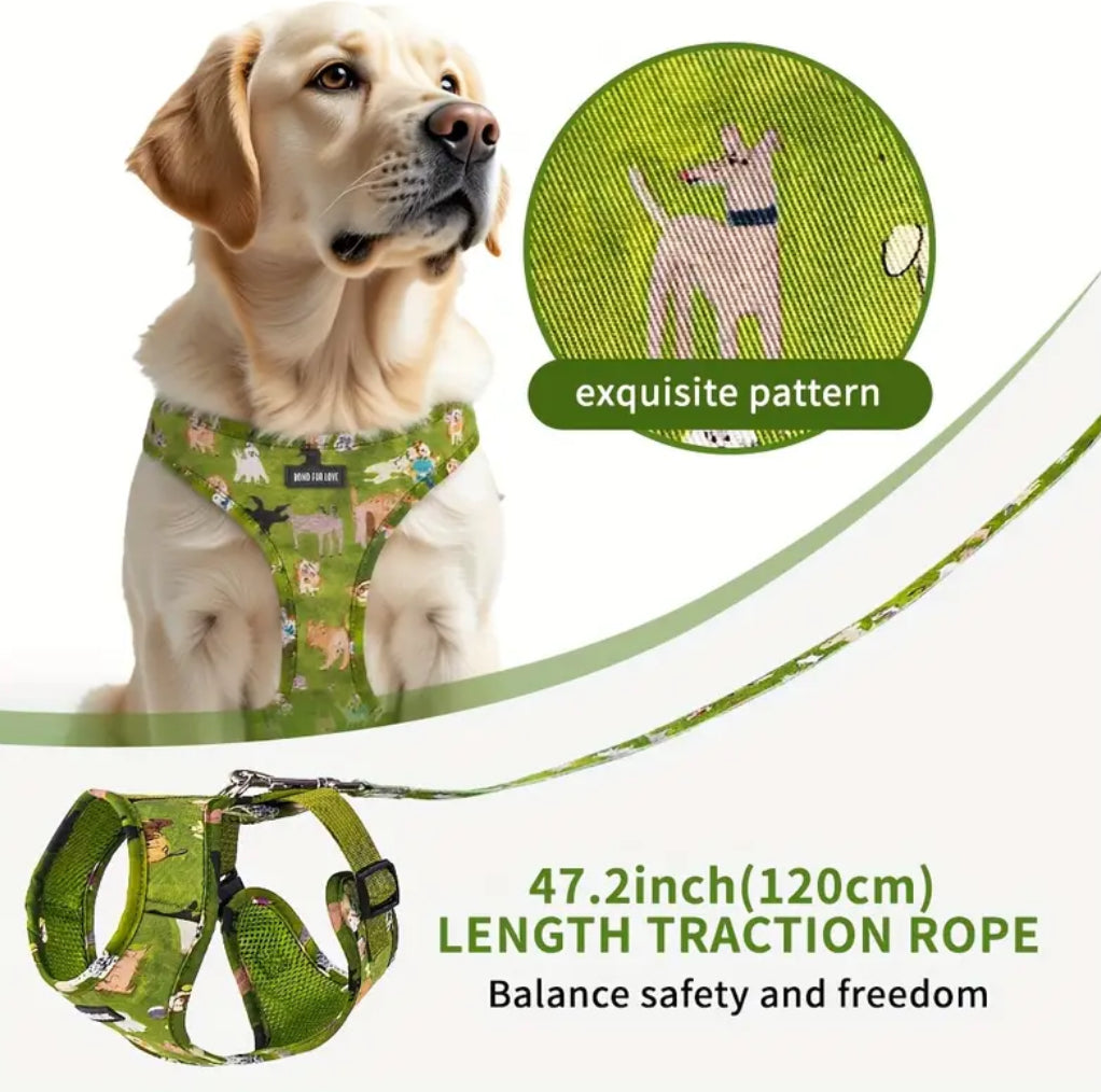 Set of 6 Dog Harness Collar Bow Leash