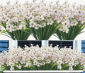Bunch of Small White Flowers
