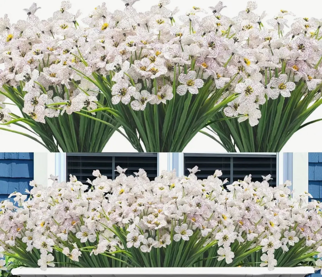 Bunch of Small White Flowers