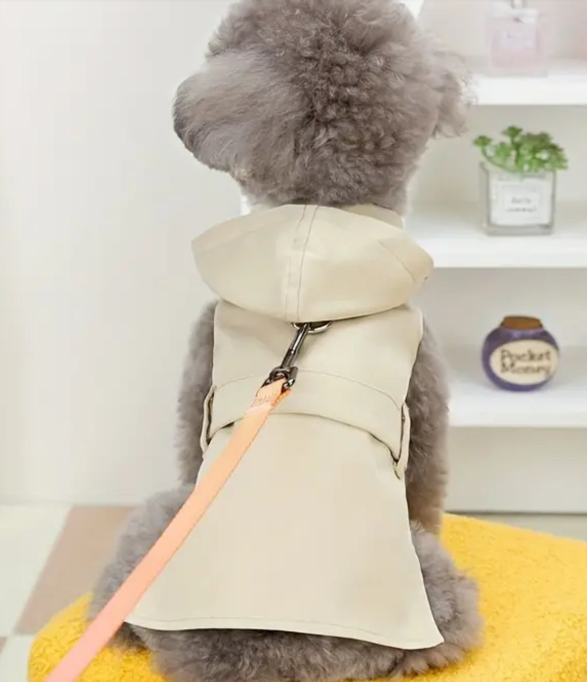 Pet Raincoat Trench Coat