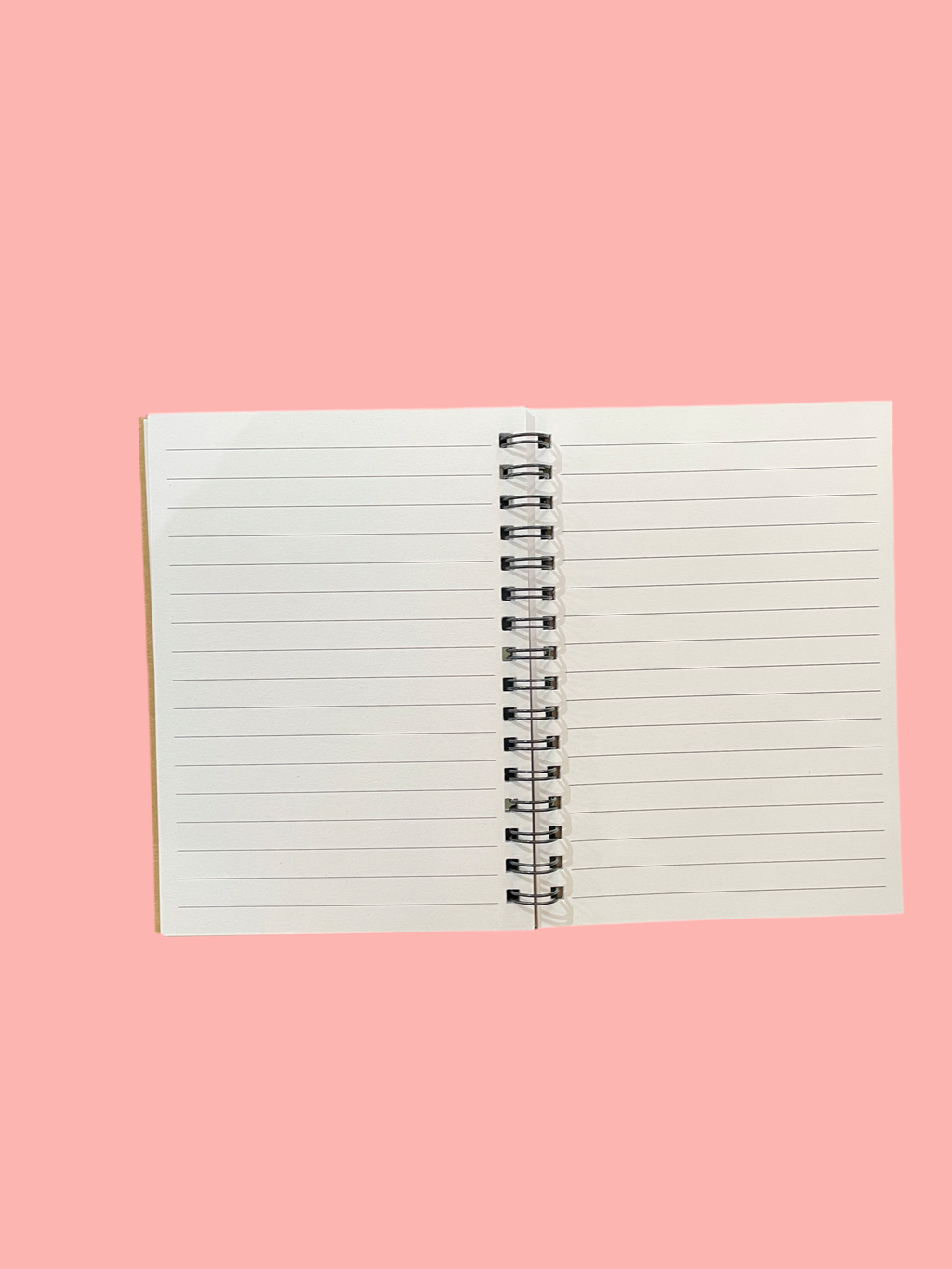 (Copie) Carnet Papillon A6