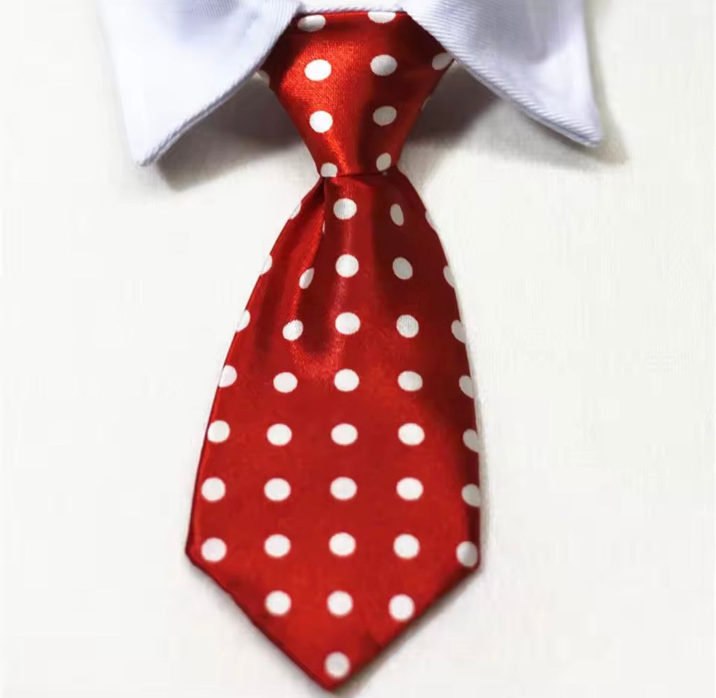 Collar and Tie
