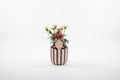 Gazania Plant in Ceramic Pot