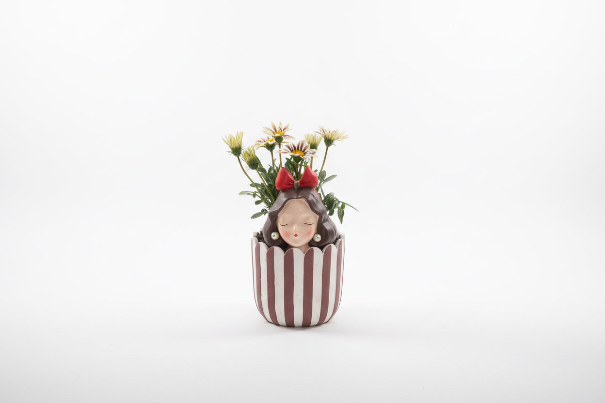 Gazania Plant in Ceramic Pot