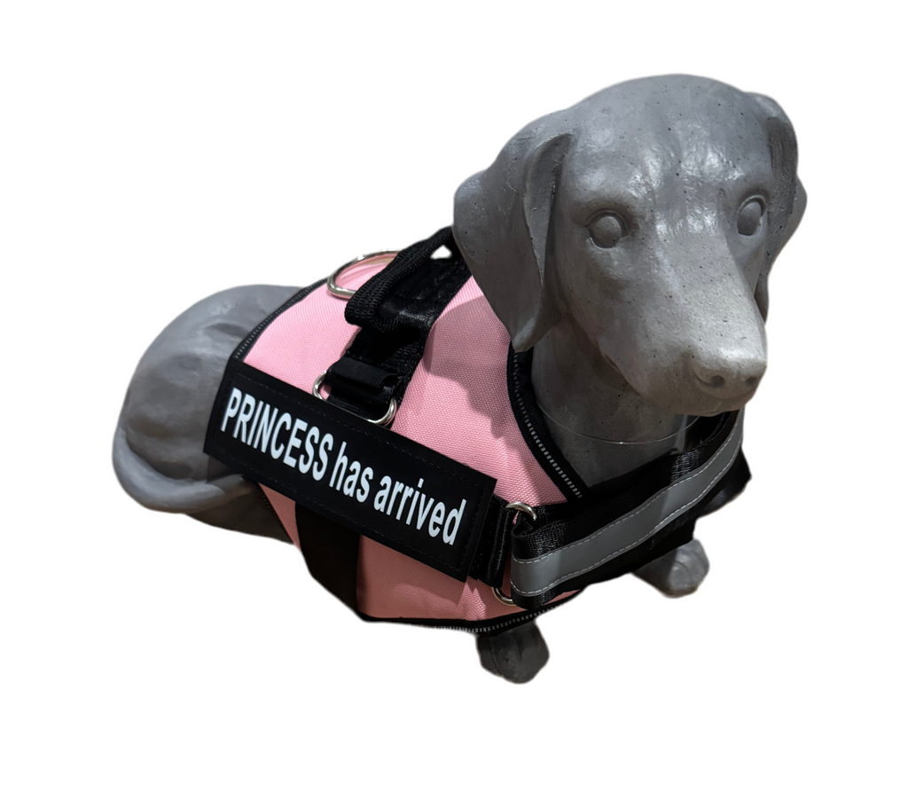 “Princess Has Arrived” Dog Harness