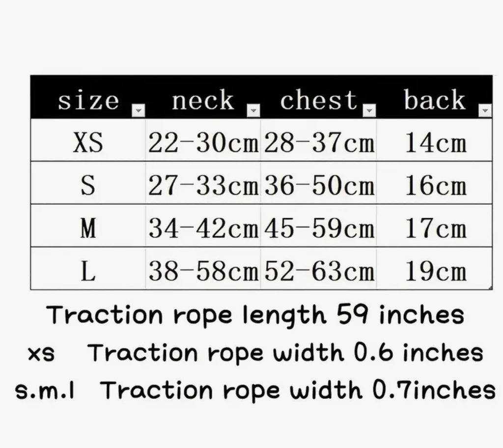 3-Piece Harness Set with Dinosaur Print