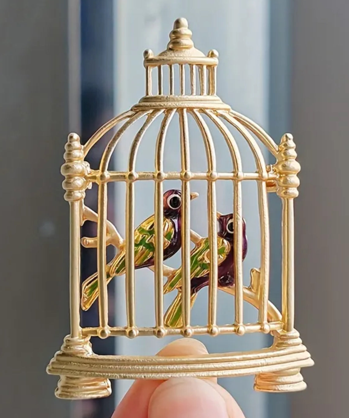 Broche Oiseaux en cage