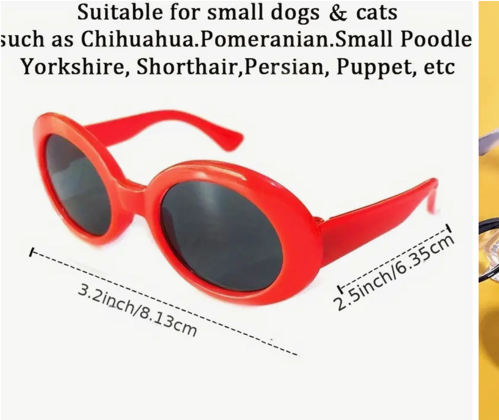 Lunettes pour petits animaux