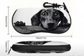 Peeking Dachshund Glasses Case