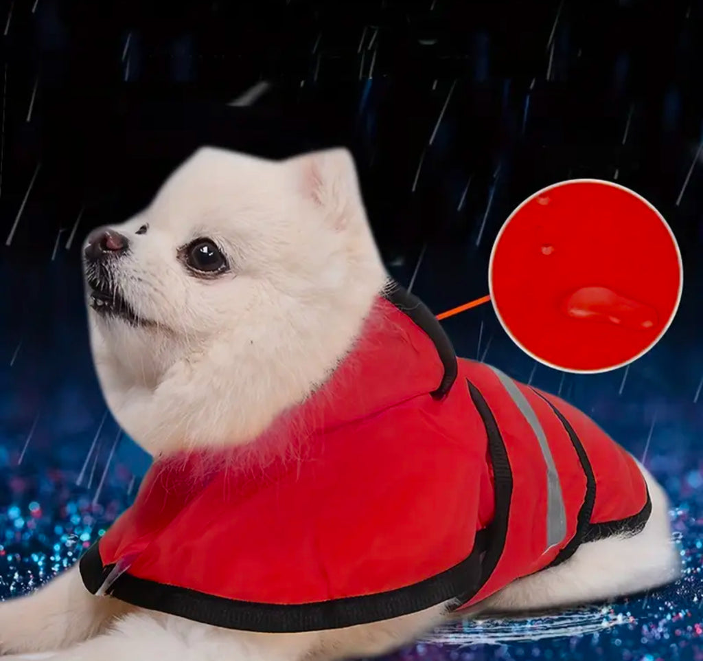 Red Dog Cape Raincoat