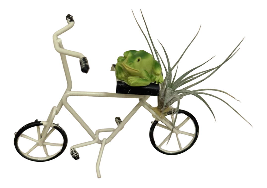 Frog with Air Breathing Plant on Bicycle