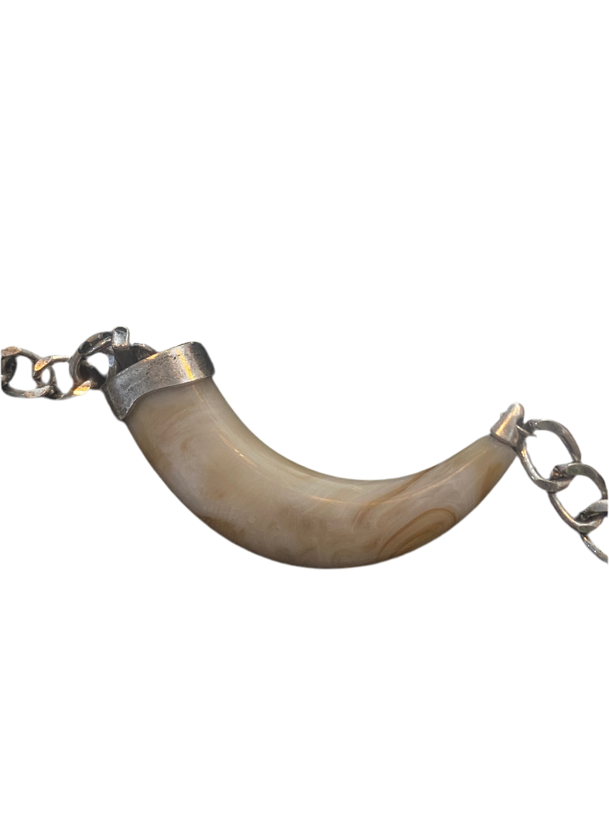 Dragon Tooth Silver Chain Necklace With Gift Box