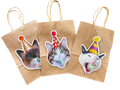 Cat bubble gift bags