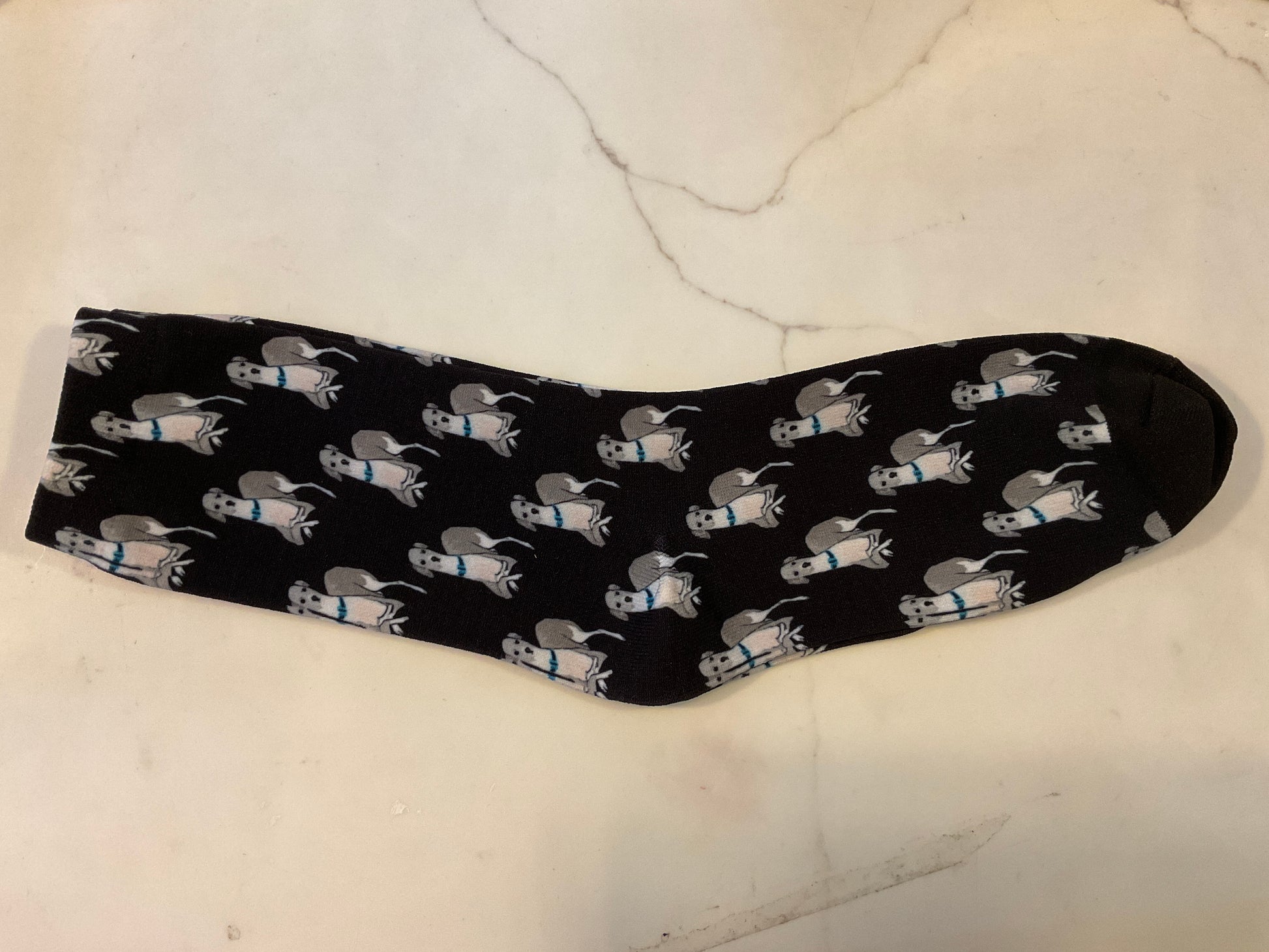 Greyhound Socks black