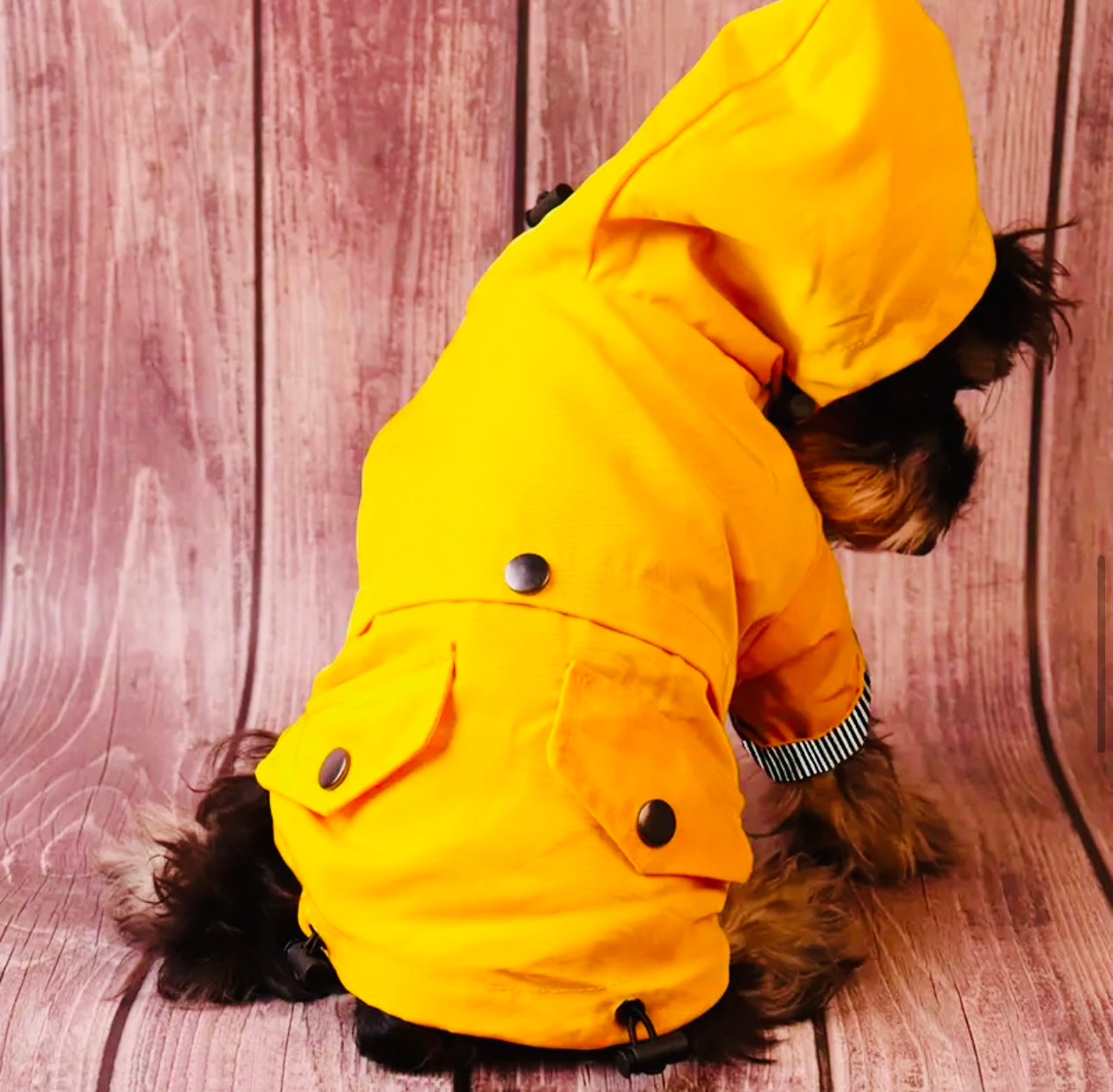 Dog Raincoat