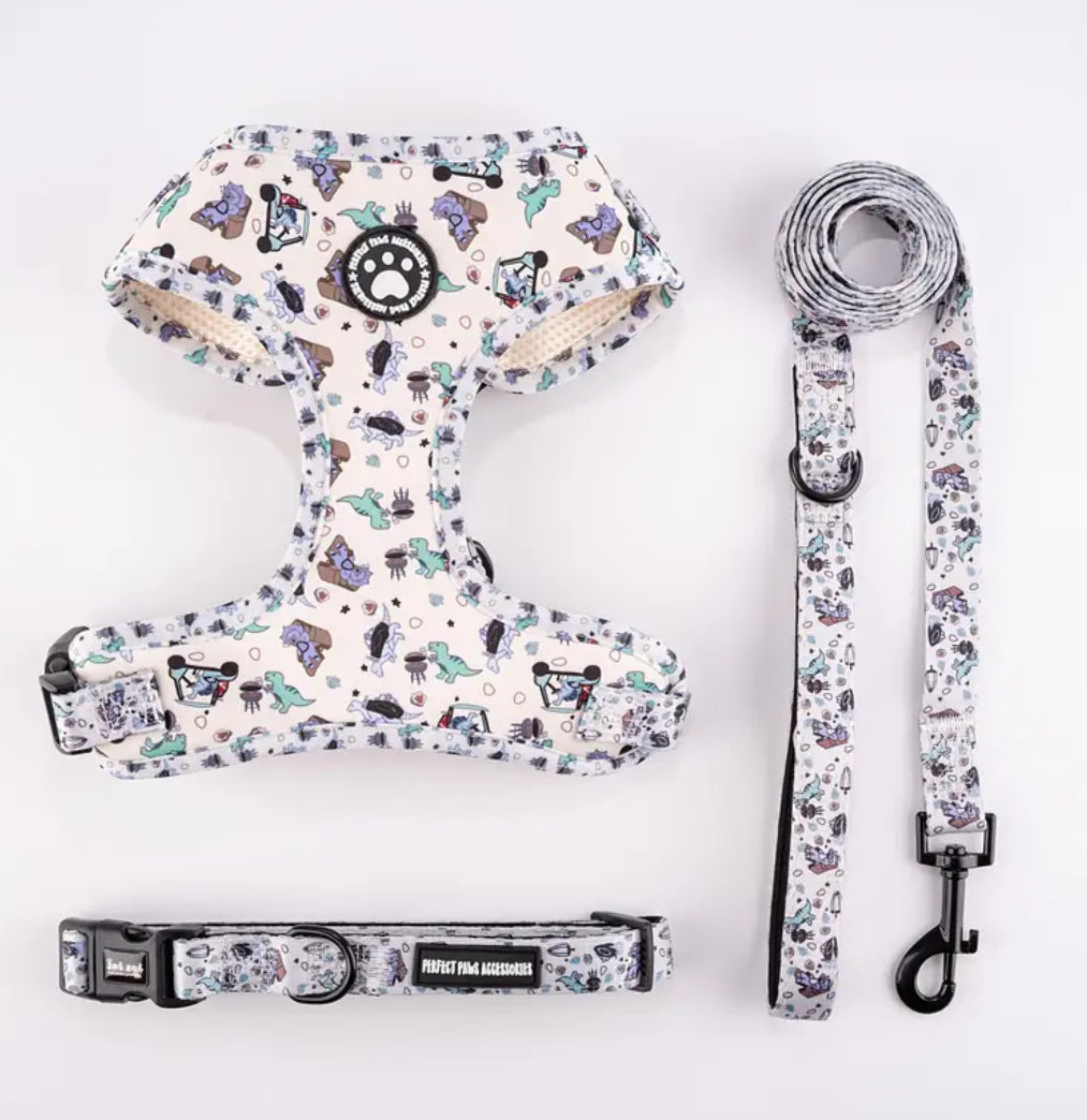 Ensemble harnais, collier et laisse pour dinosaure
