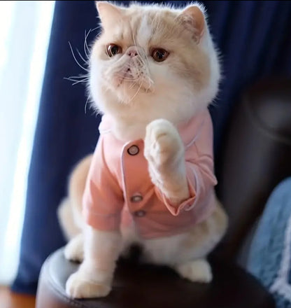 Pink Pet Pyjamas