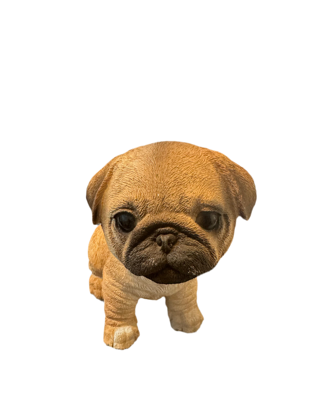 Chiots à tête branlante