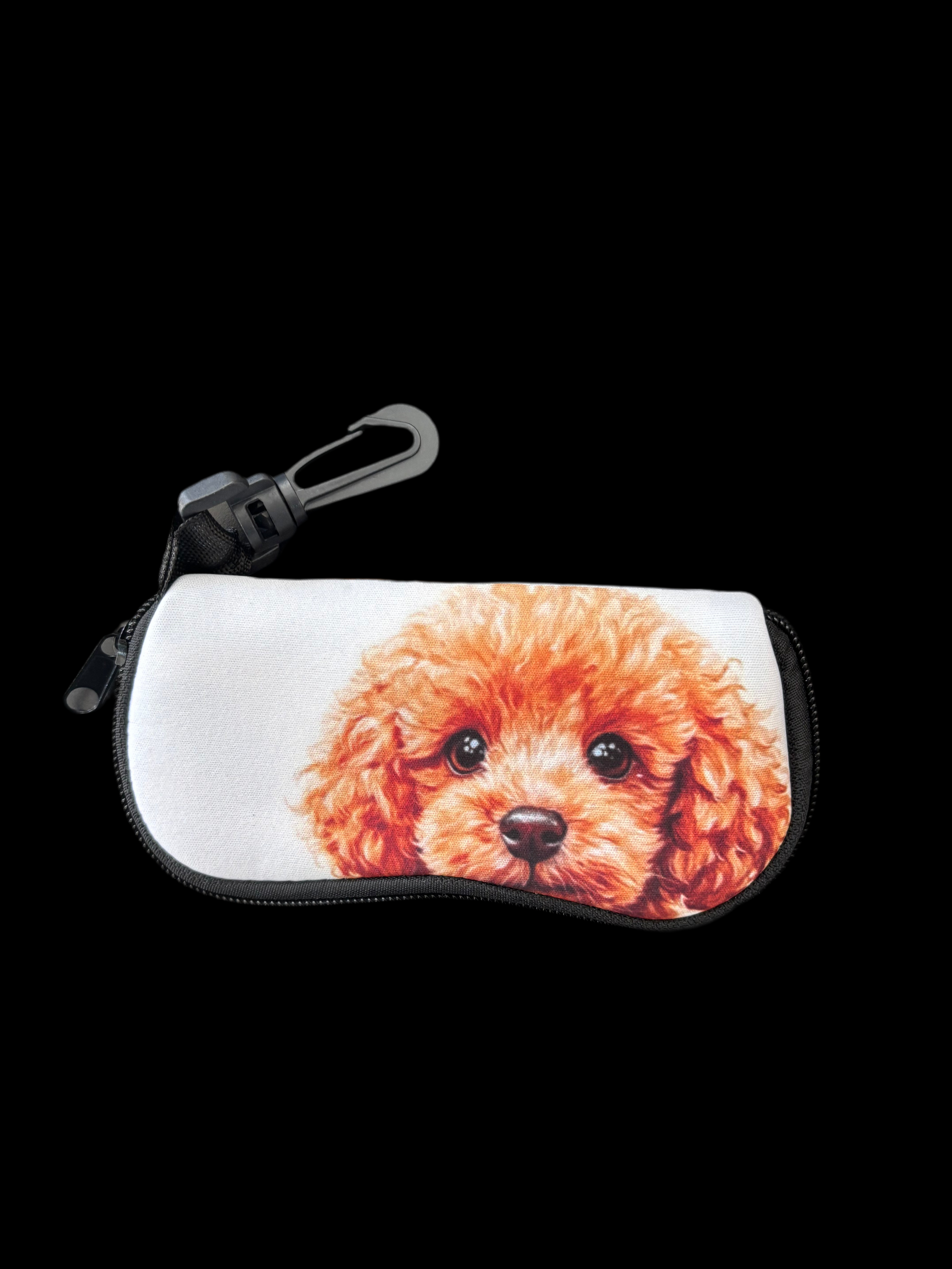 Étui à lunettes pour chien