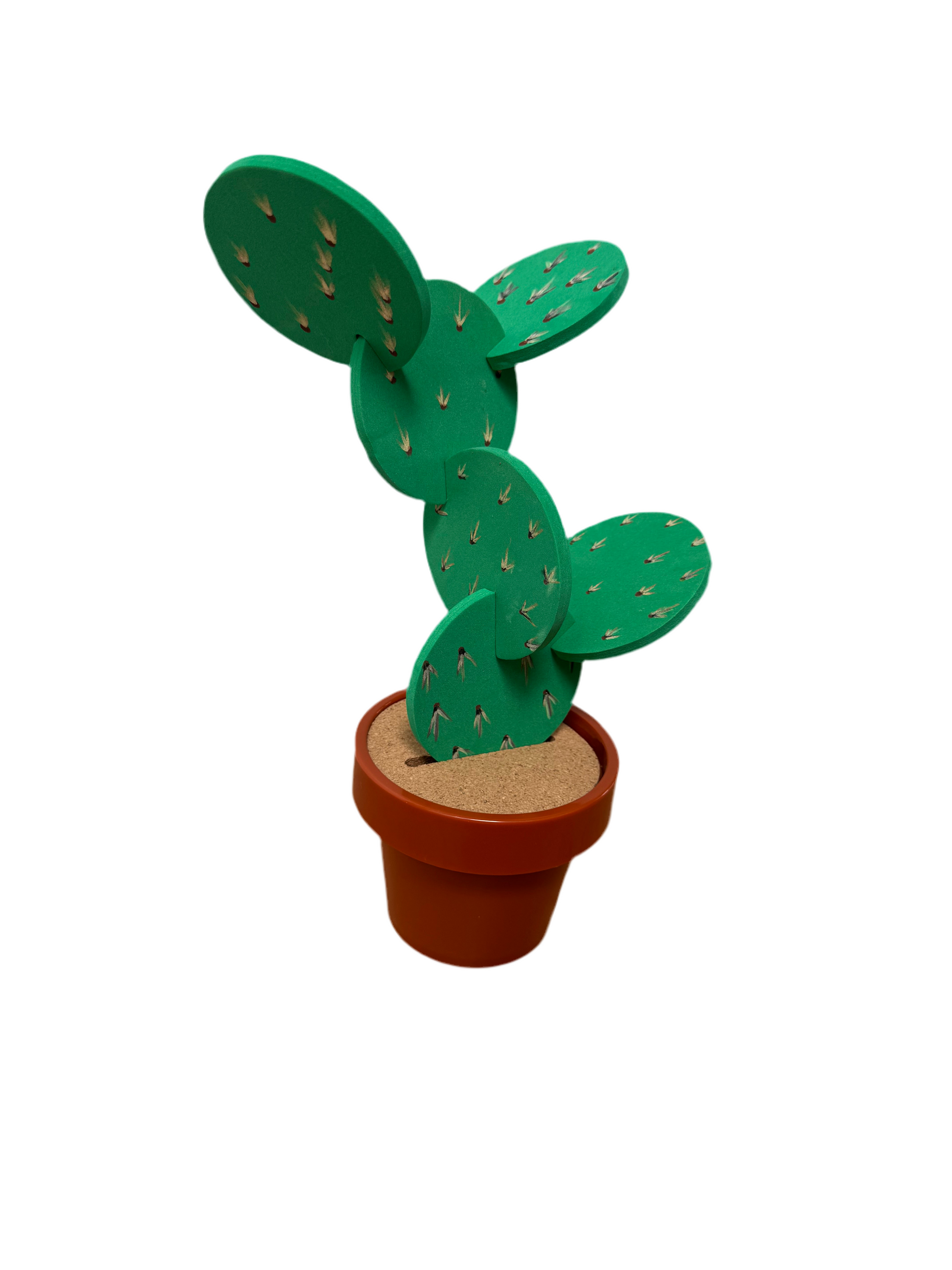 Light Green Cactus Coasters (set of 6)