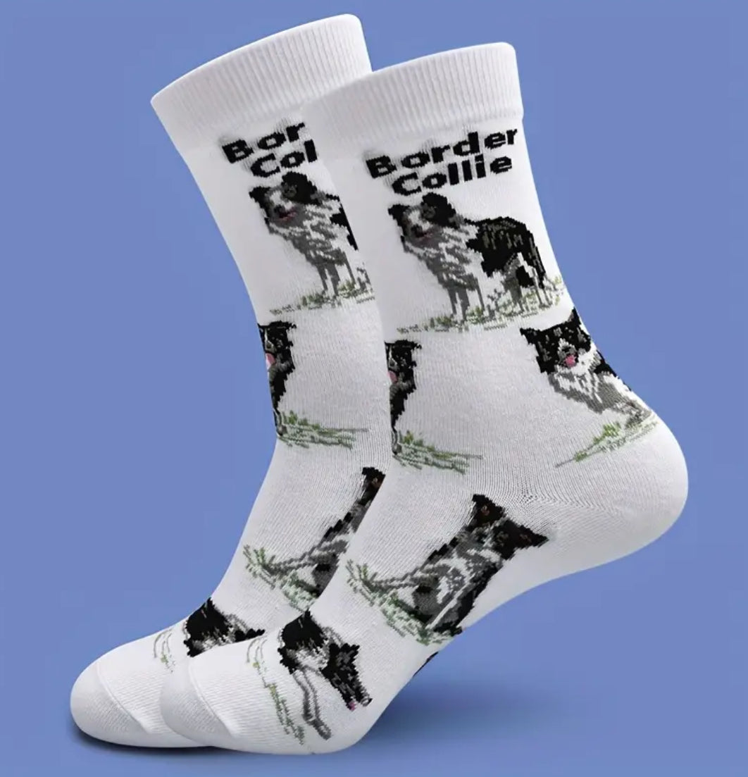 Border Collie Dog socks