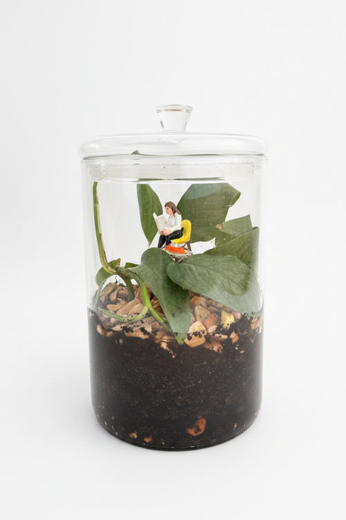 Booklover Terrarium