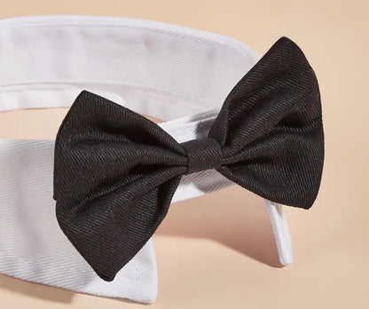 Pet Bow Tie Collar