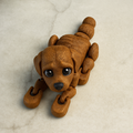 Jouet anti-stress pour chien (petit)
