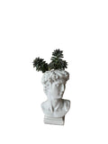 “David Needs a Haircut” Plant
