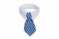 Collar and Tie