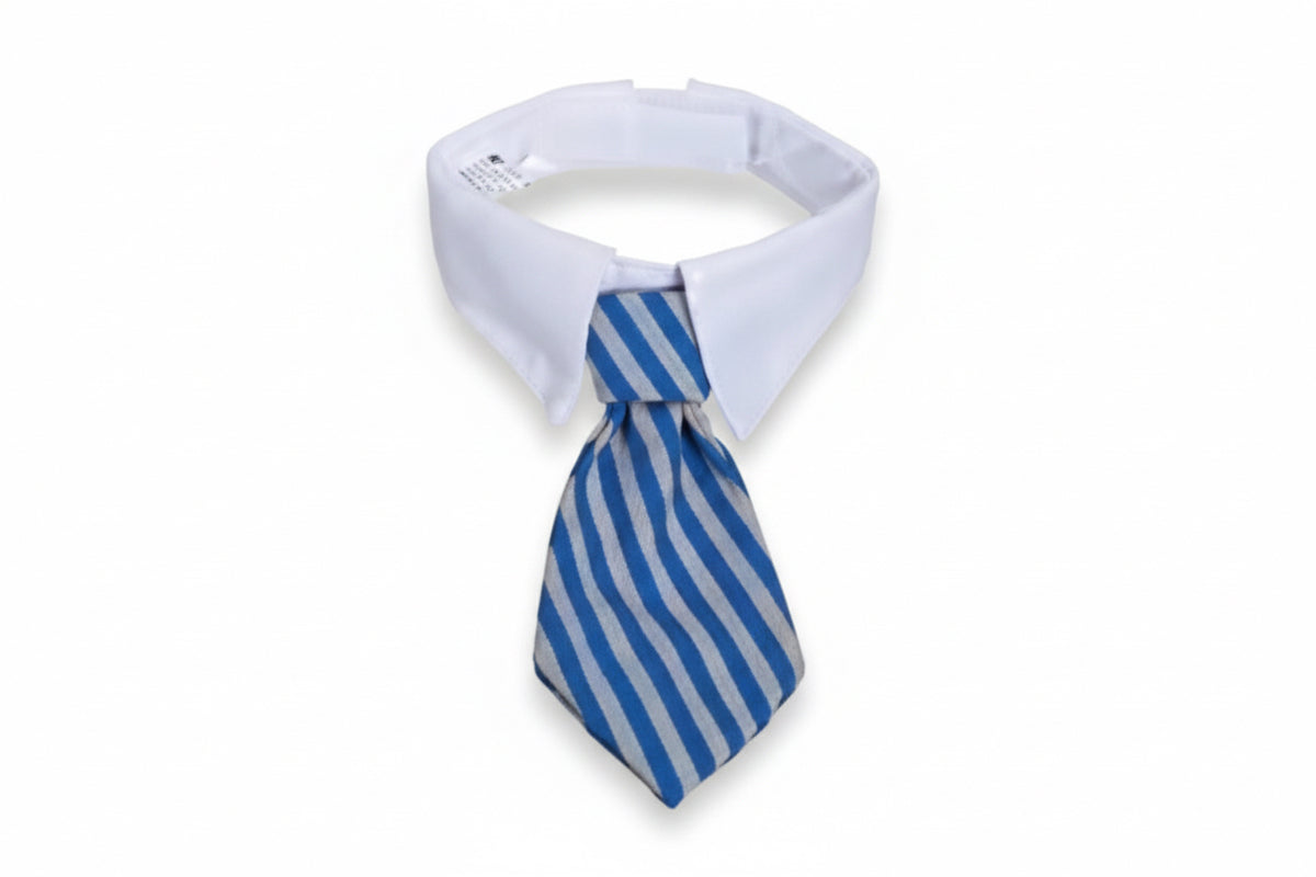 Collar and Tie