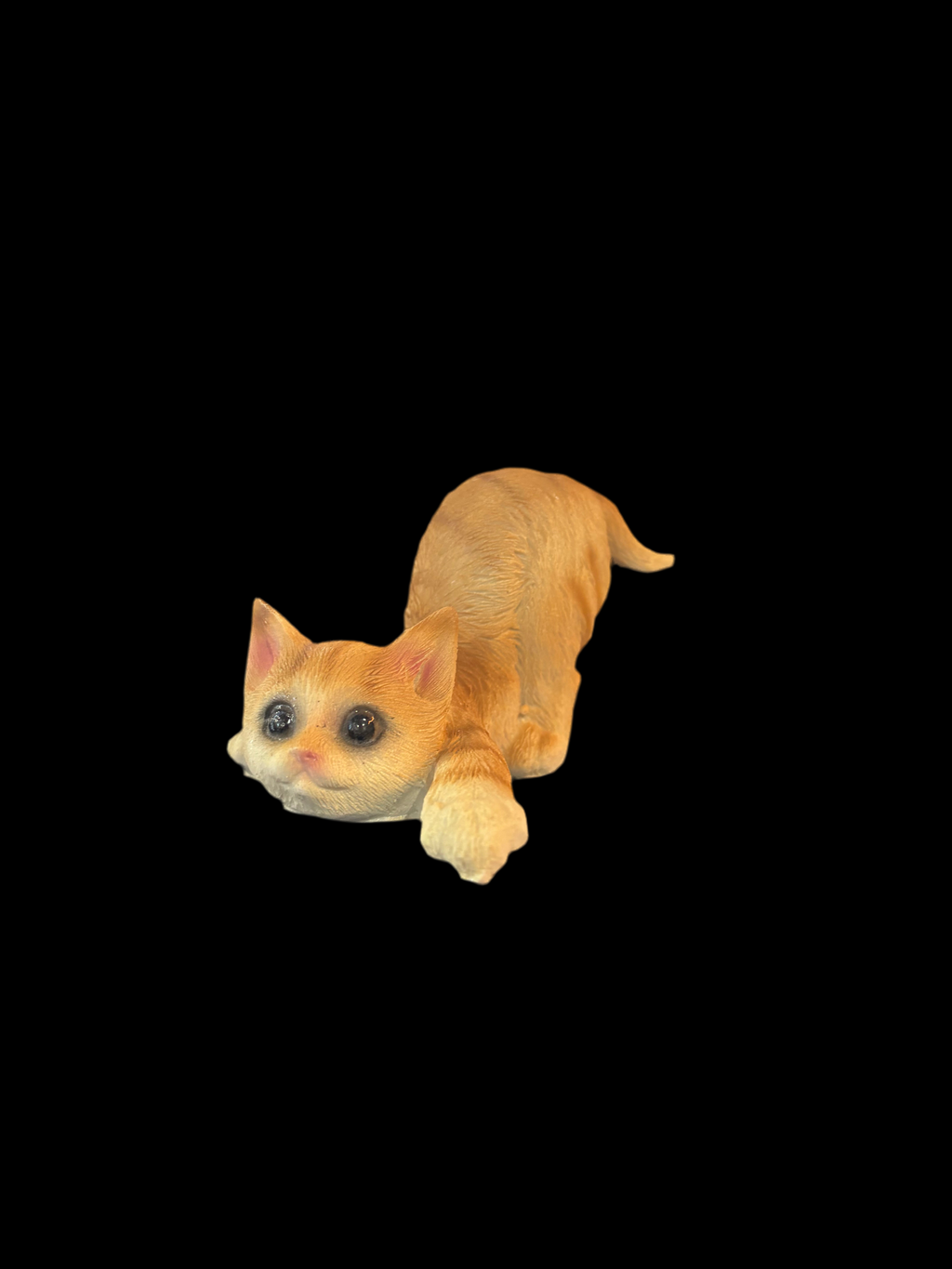 Chat tigré orange joueur