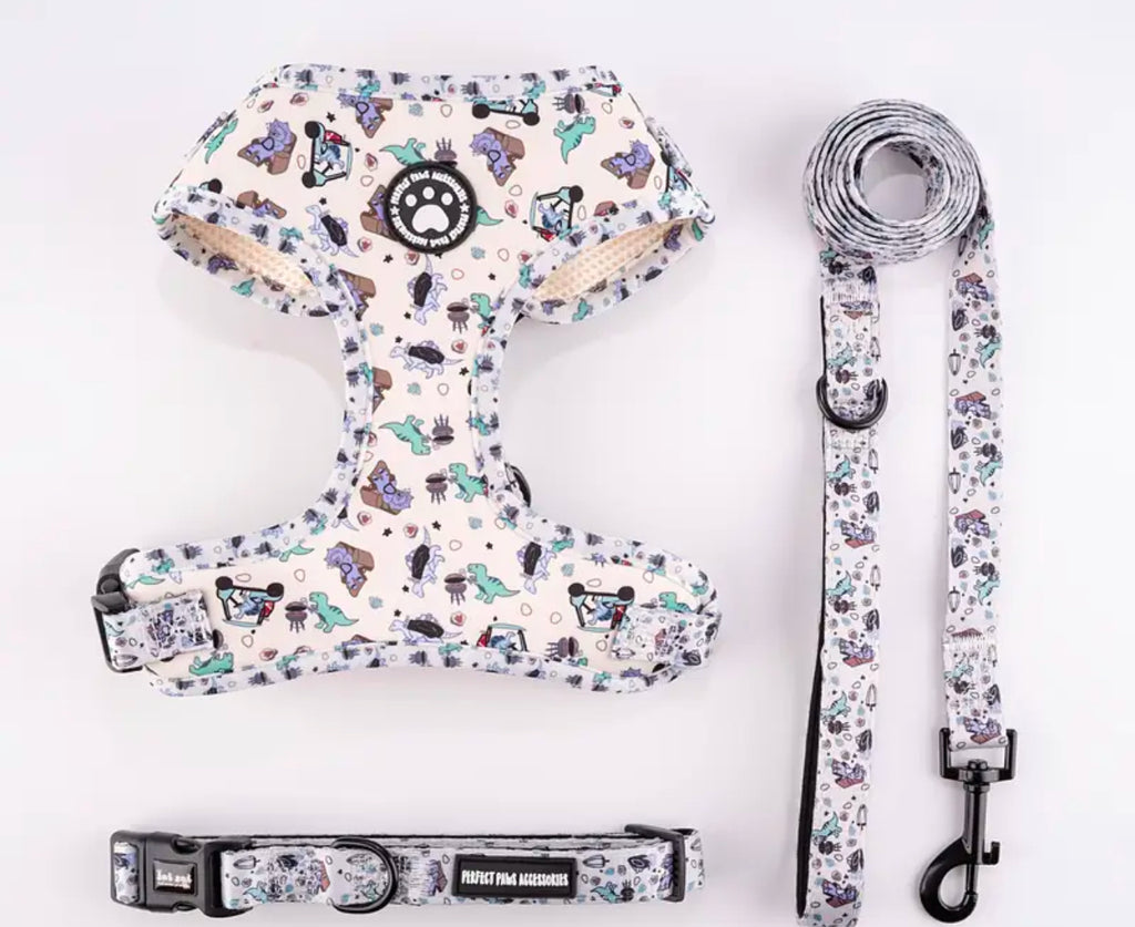 3-Piece Harness Set with Dinosaur Print