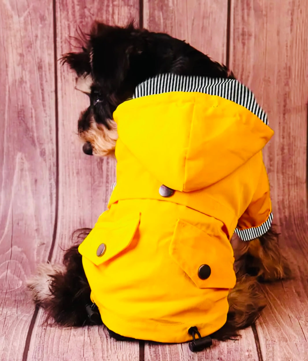 Dog Raincoat
