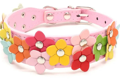 Floral pet collar