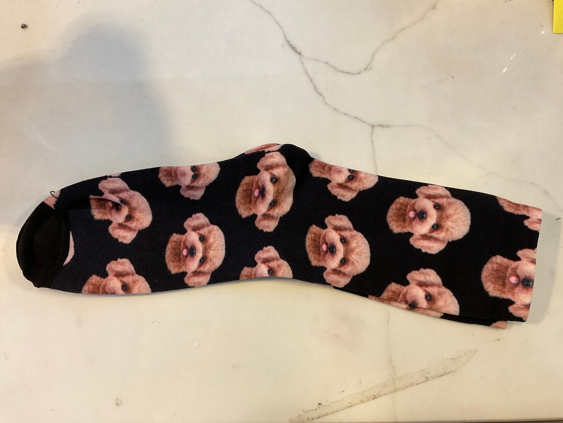 Cavoodle Socks black