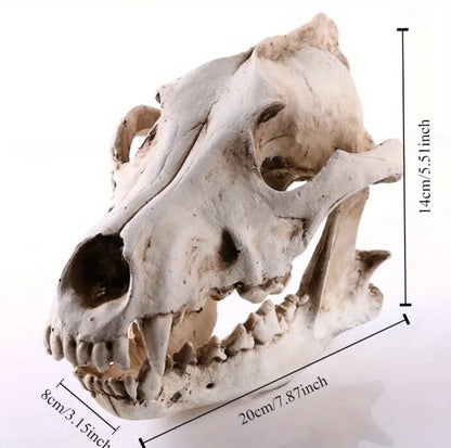 Resin Wolf Skull