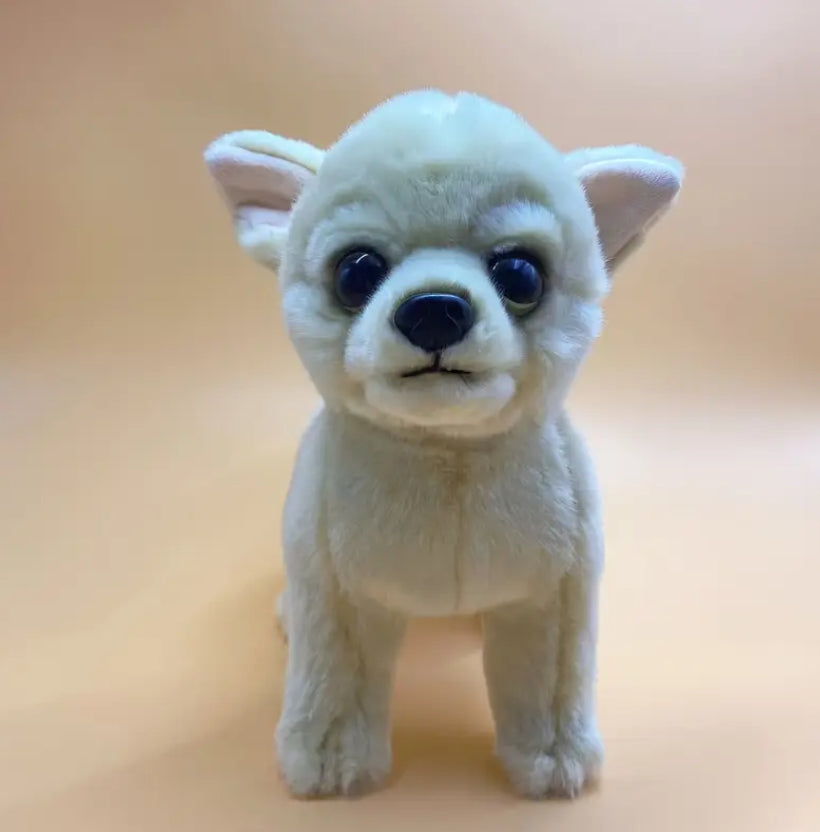 Chihuahua soft toy