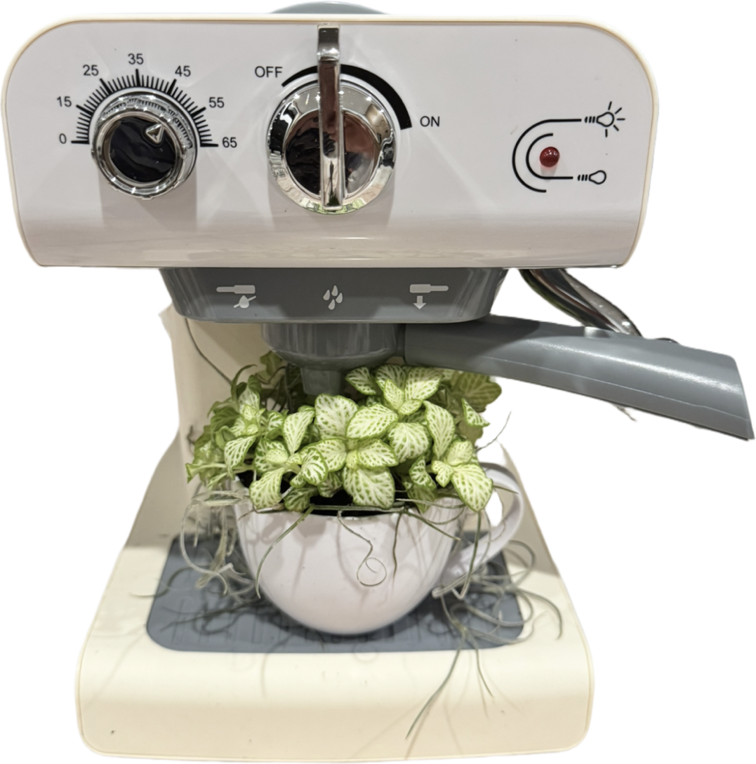 Coffee Machine Open Terrarium