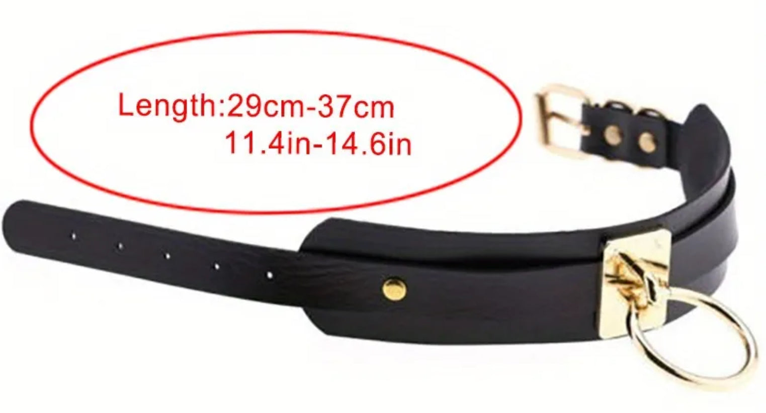 Collier en cuir avec anneau pour chien ou chat