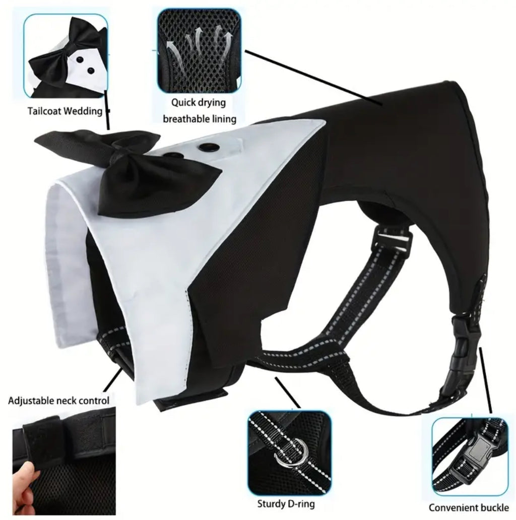 Nœud papillon noir pour chien avec harnais de smoking