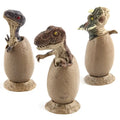 Dino Egg Surprise – Semi-Hatched Dinosaur Mini Statues