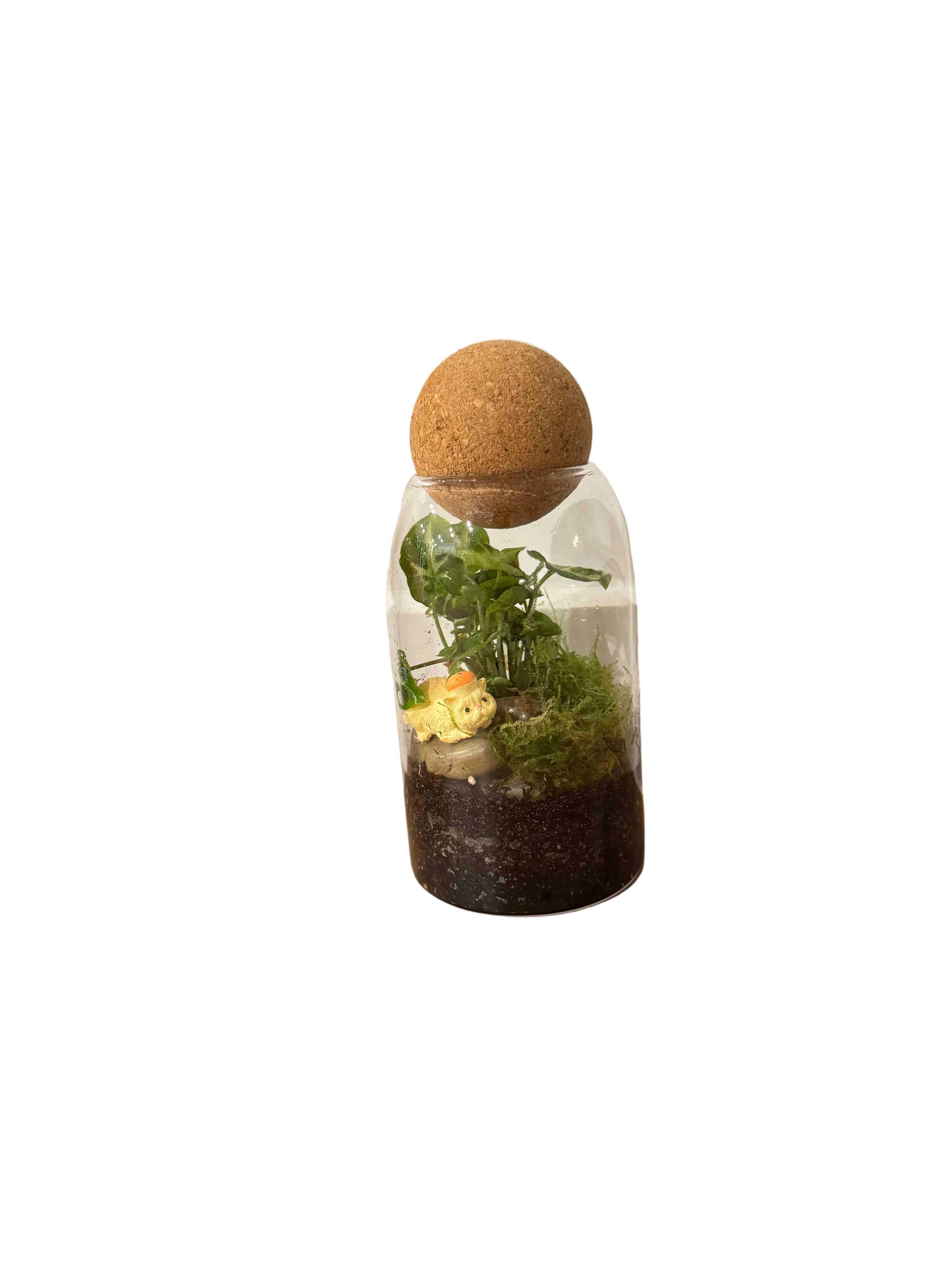 Playful Cat Terrarium