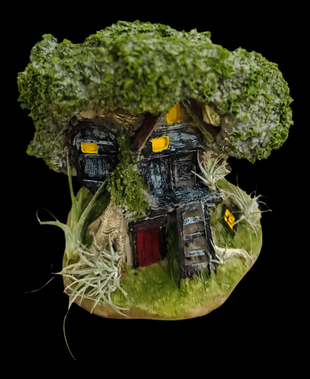 Air Breathing Plants on Treehouse Planter Pot