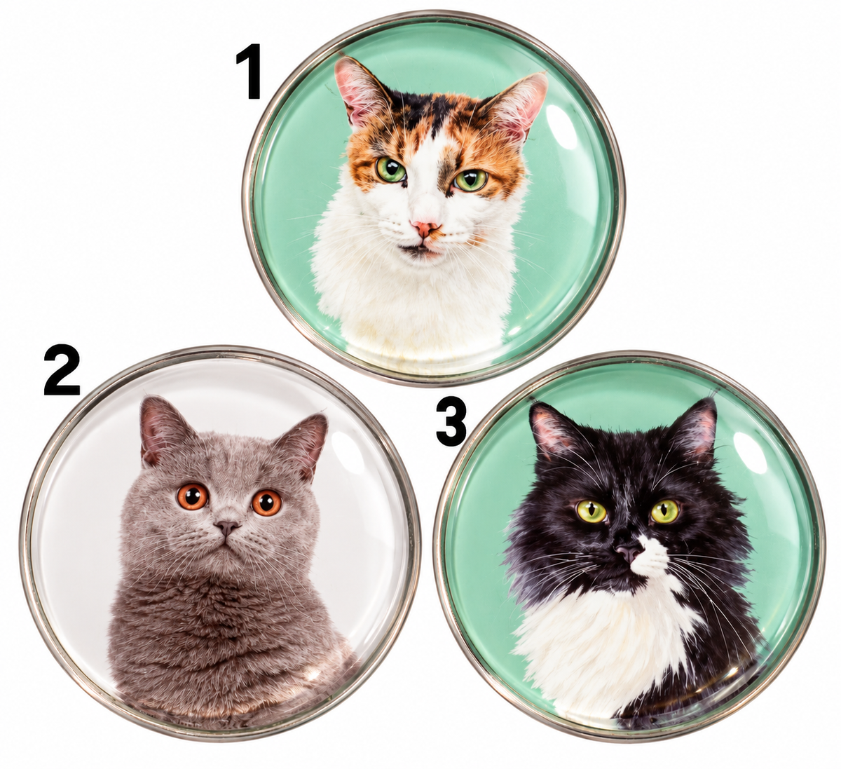 Cat Glass Dome Fridge Magnet – 4cm