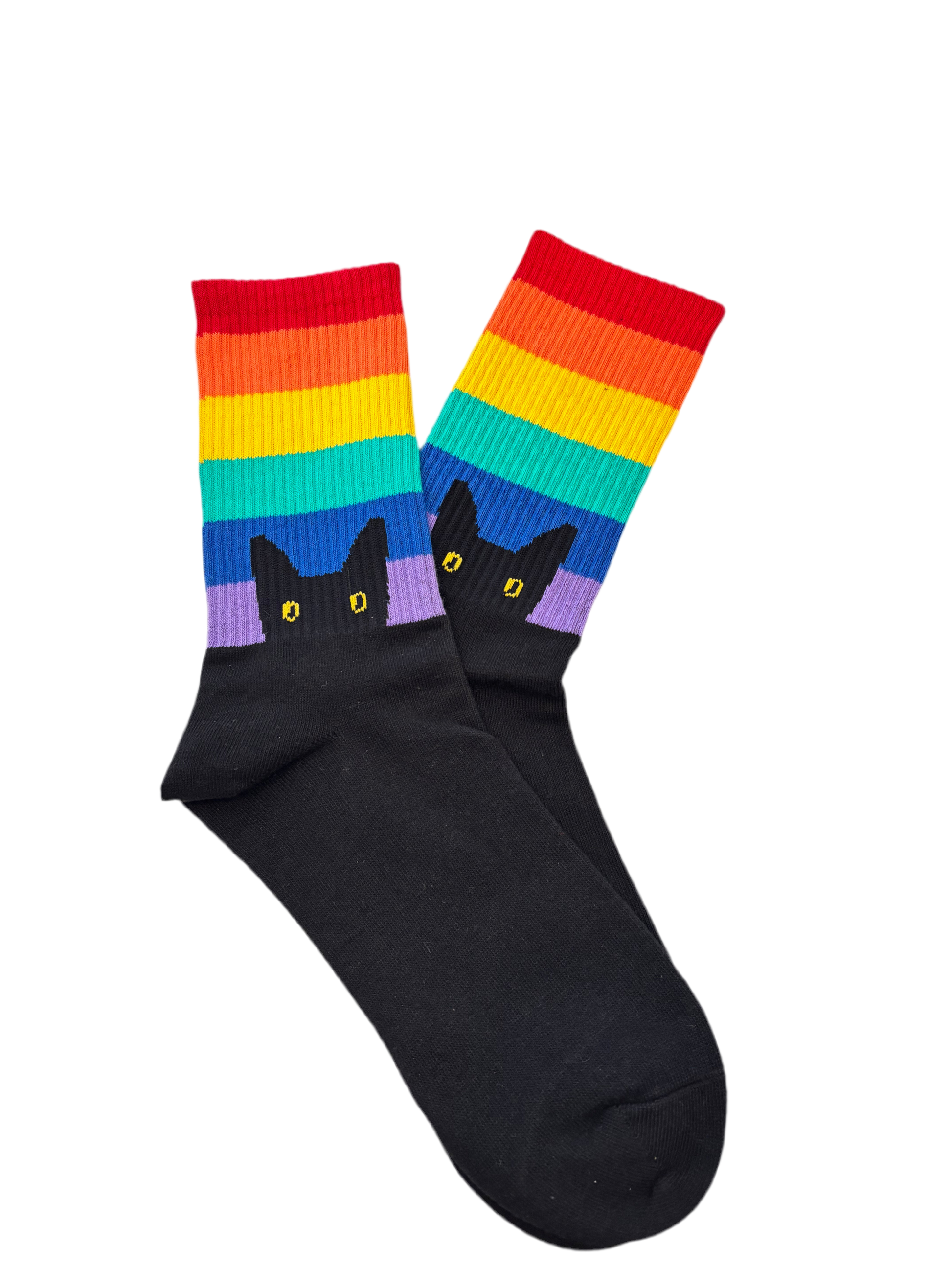 Rainbow Cat Socks