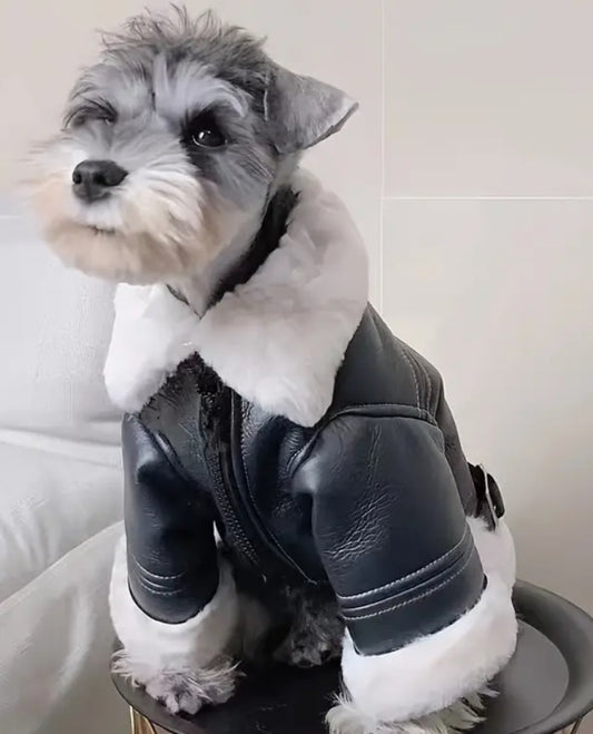 Pet Leather Jacket