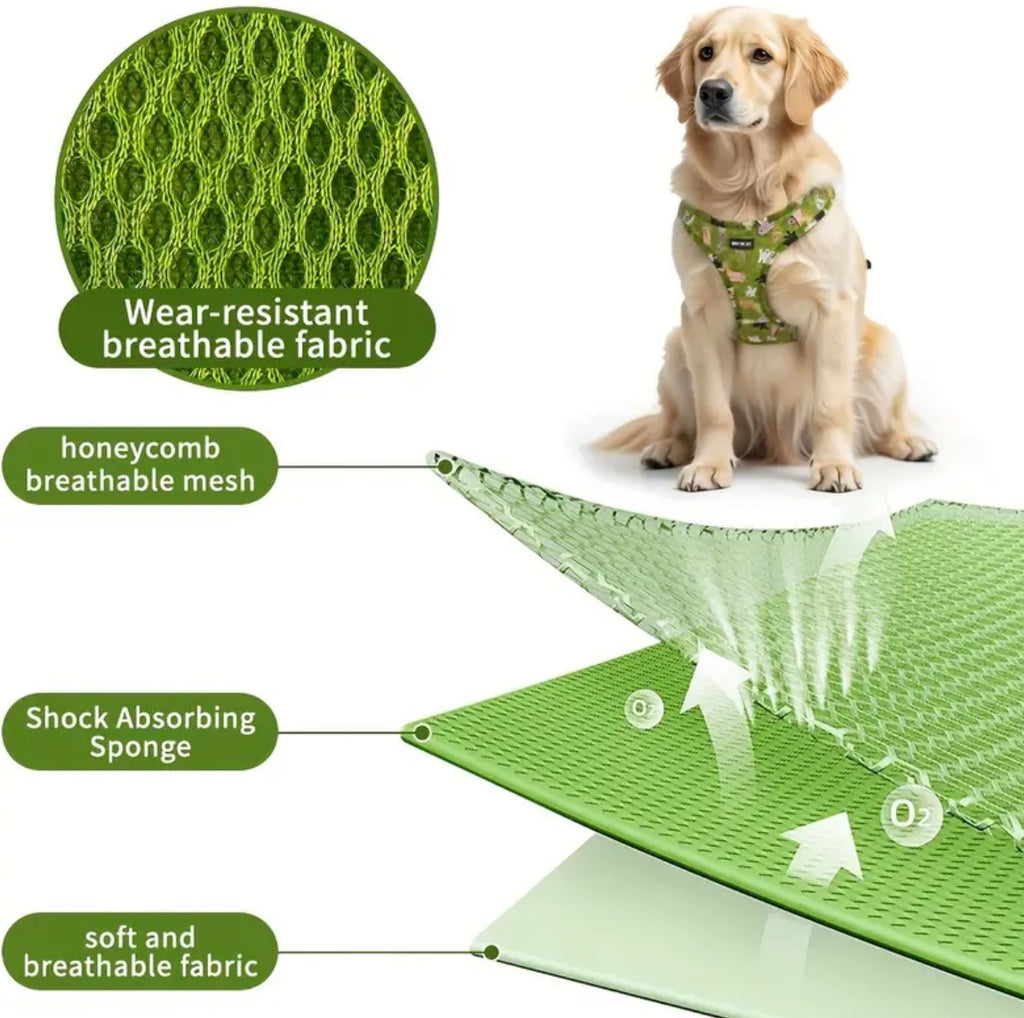 Lot de 6 harnais pour chien, collier, nœud et laisse